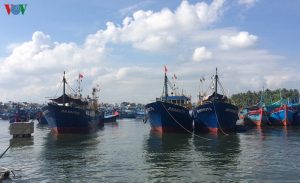 Nhiều tàu cá ở Bình Định nằm bờ vì không mua được bảo hiểm