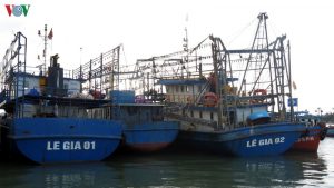 2 Công ty bảo hiểm đã duyệt bán hồ sơ cho 5 tàu cá Bình Định